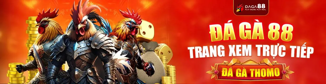 Sân đá gà trực tuyến sôi động tại xxvip đăng nhập